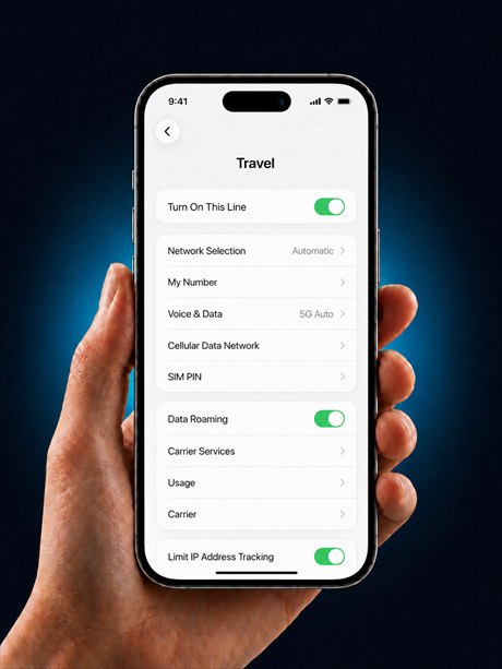 Turn on Data Roaming for the Wyra line on iPhone